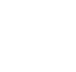 Nexus
